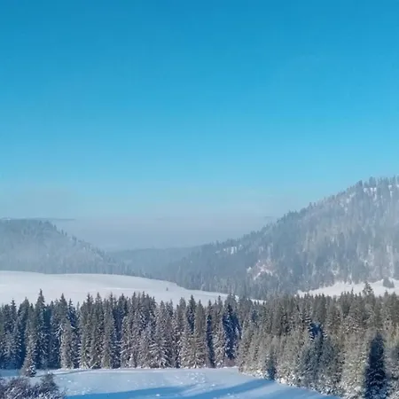 Alpen House 2 * Dursztyn